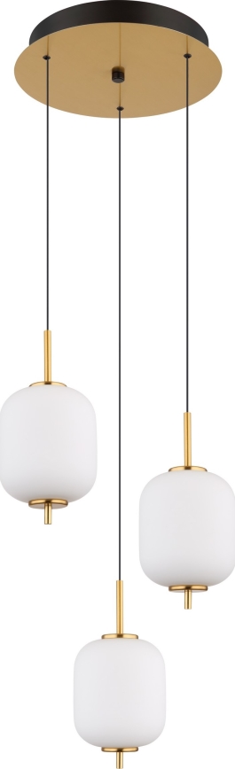 Globo - LED-Hängeleuchte LED/20W/230V