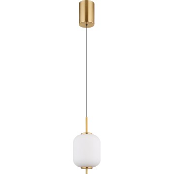 Globo - LED-Hängeleuchte LED/7W/230V