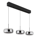Globo - LED-Pendelleuchte mit Kabelaufhängung LED/30W/230V 3000K