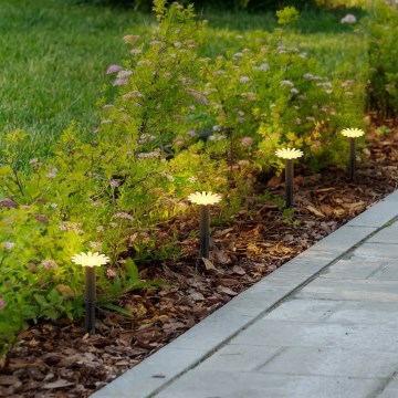 Globo - LED Solar Lichterkette 5xLED/3V IP44 300 mAh 2,2 m Blüten