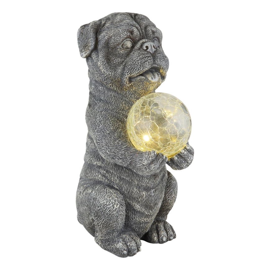 Globo - LED-Solardekoration LED/0,02W/3V IP44 300 mAh Hund