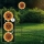 Globo - LED-Solarleuchte 200 LEDs/3 V IP44 600 mAh Blume