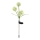 Globo - LED Solarleuchte 3xLED/0,06W/3V 5000K IP44 200 mAh gelb