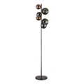 Globo - LED-Stehleuchte 6xG9/3,5W/230V