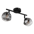 Globo - Spotleuchte 2xG9/5W/230V