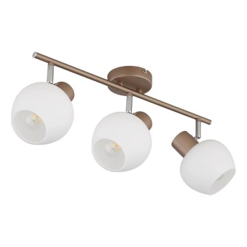 Globo - Spotleuchte 3xE27/40W/230V