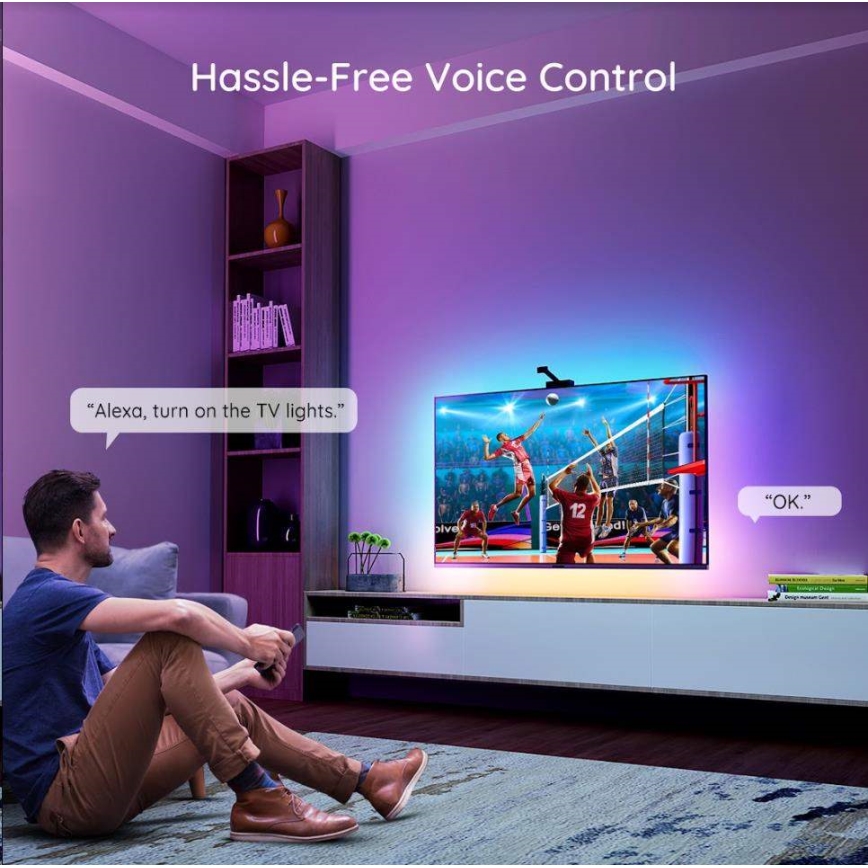 Govee - DreamView TV 55-65 SMART LED-Hintergrundbeleuchtung RGBIC Wi-Fi