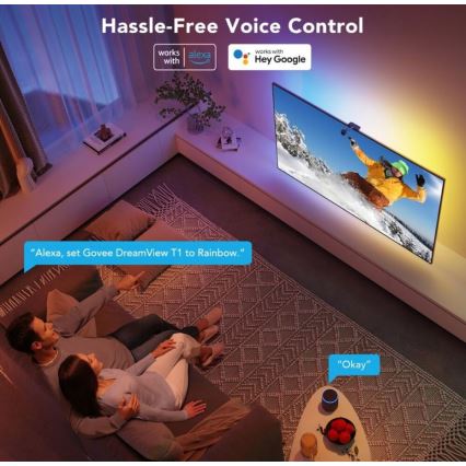 Govee - DreamView TV 55-65 SMART LED-Hintergrundbeleuchtung RGBIC Wi-Fi