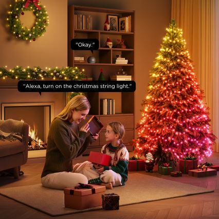 Govee - LED RGBICW Outdoor-Weihnachtslichterkette 2700-6500K 20m Wi-Fi Matter IP66