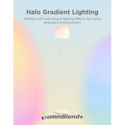 Govee - LED RGBICWW Dimmbare Stehleuchte LANTERN MATTER LED/24W/230V Wi-Fi 160 cm