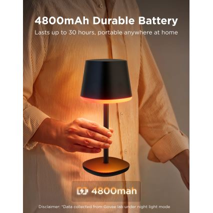 Govee - LED RGBICWW Dimmbare Tischlampe CLASSIC MATTER LED/10W/5V 4800mAh Wi-Fi