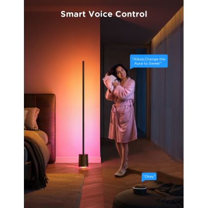 Govee - Dimmbare LED-Stehleuchte mit Lautsprecher Pro RGBICWW 2200-6500K Wi-Fi + Fernbedienung
