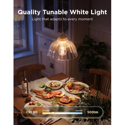 Govee - Set 2xLED RGBWW dimmbares Leuchtmittel Smart MATTER ST64 E27/5W/230V 2700-6500K Wi-Fi