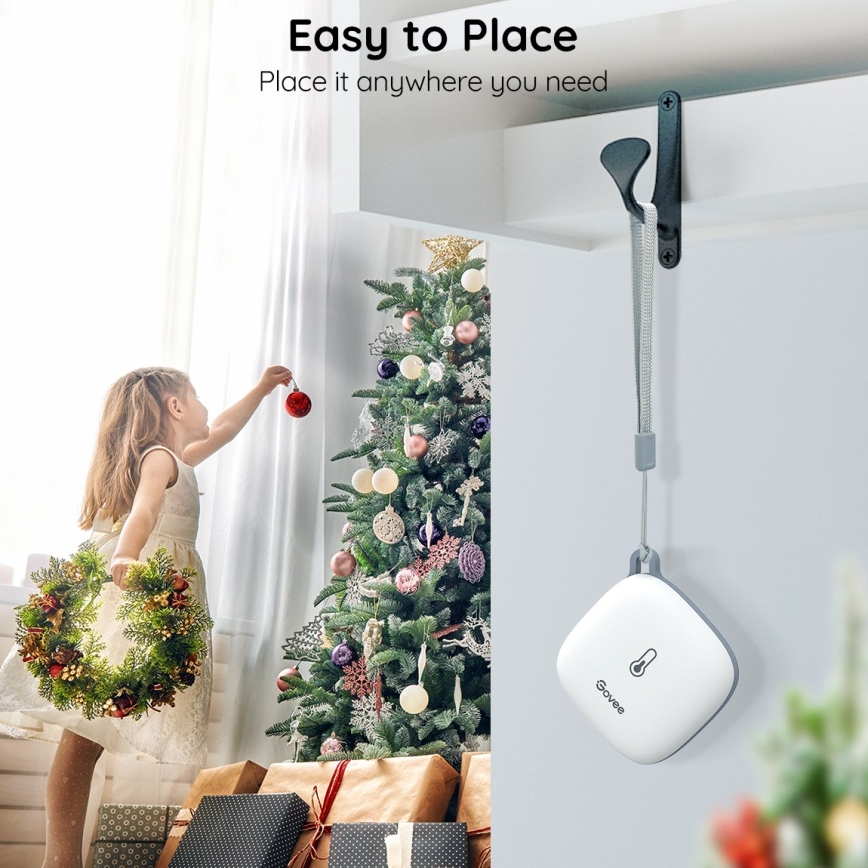 Govee - Thermometer und Hygrometer 3xAAA Wi-Fi