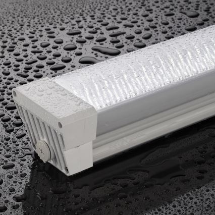 Greenlux GXWP193 - LED Leuchtstofflampe DUST PROFI LED/55W/230V IP66