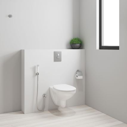 GROHE 26356IL0 - Hand-Bidetbrause TEMPESTA-F 30, 1250 mm, weiß