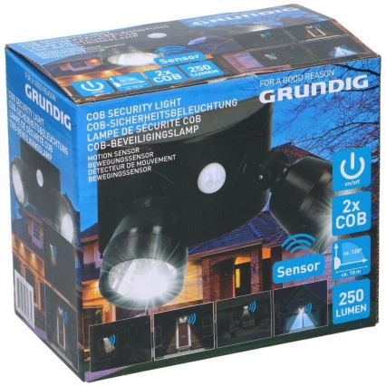 Grundig - LED Außenwandleuchte mit Sensor 2xLED/9V IP44