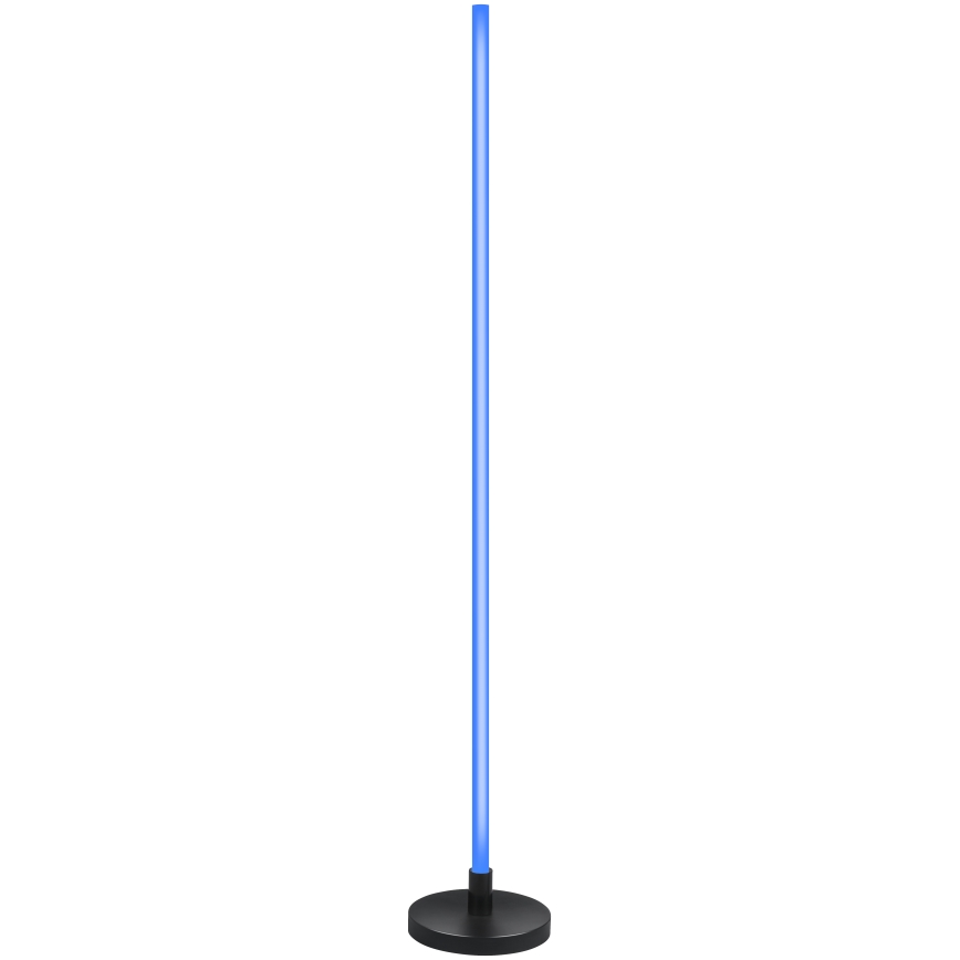 Grundig - LED RGB dimmbare Stehlampe LED/5W/5V + Fernbedienung