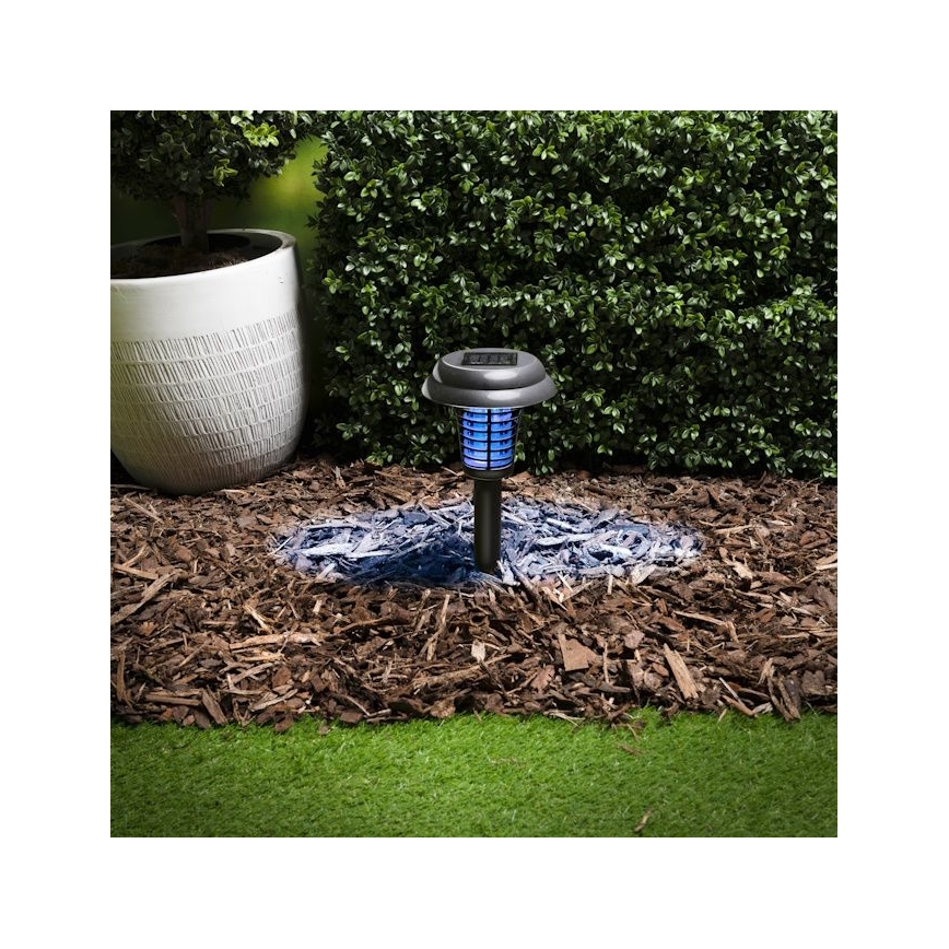 Grundig - LED-Solarlampe und Insektenfalle UV-LED/1xAA 600 mAh IPX4