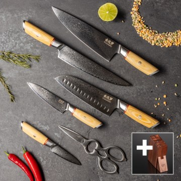 Gudaro – 5-teiliges HIKARI Damast-Küchenmesser-Set + Messerblock und Geflügelschere