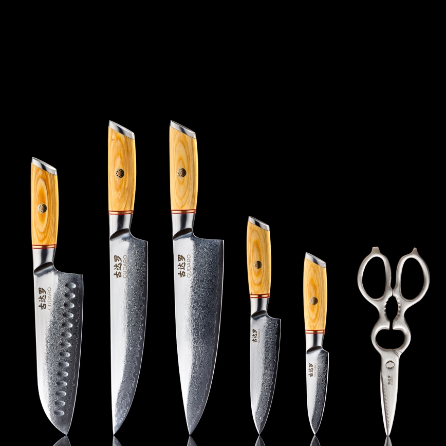 Gudaro – 5-teiliges HIKARI Damast-Küchenmesser-Set + Messerblock und Geflügelschere