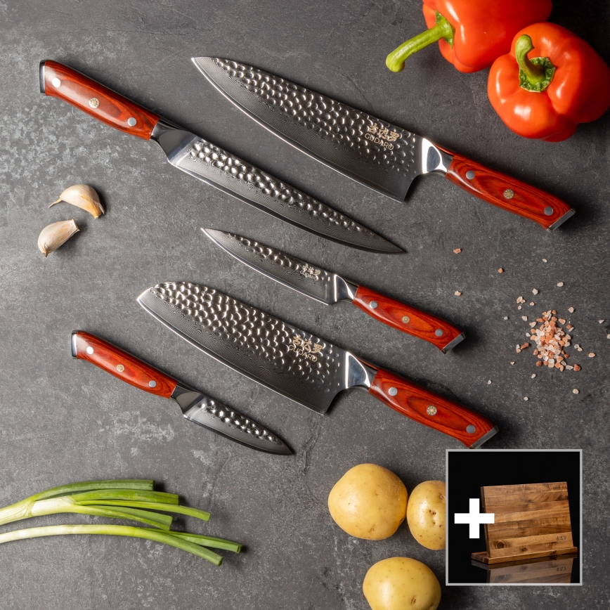 Gudaro - 5er-Set Damast-Küchenmesser MIYABI + magnetische Messerleiste