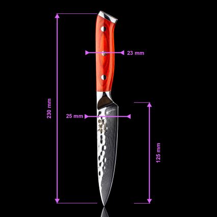 Gudaro - Damast-Universalküchenmesser MIYABI 5, 67 Lagen Stahl, Länge 12,5 cm