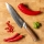 Gudaro - Damast-Chefmesser TAKUMI 8