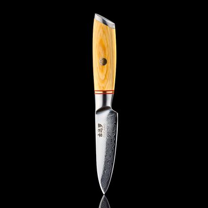 Gudaro - Damast-Küchenmesser HIKARI 3,5, aus 67 Lagen Damaststahl, Klingenlänge 9,5 cm