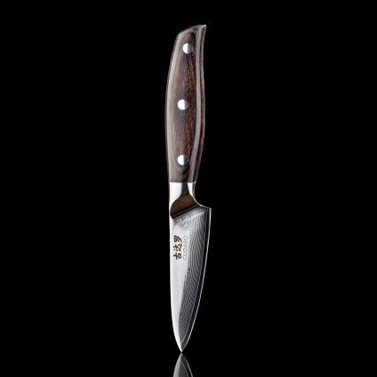 Gudaro - Damast-Küchenmesser SHIRO 3,5, 67-lagiger Damaststahl, Klingenlänge 9,5 cm