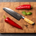 Gudaro - Damast-Santoku-Küchenmesser HIKARI 7