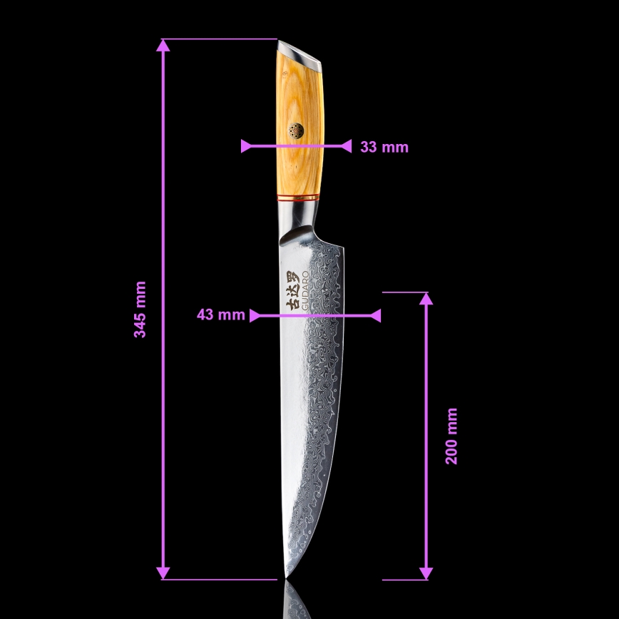 Gudaro - Damast-Tranchiermesser HIKARI 8, 67 Lagen Damaststahl, Klingenlänge 20 cm