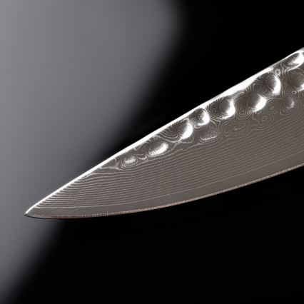 Gudaro - Damast-Tranchiermesser MIYABI 8, 67 Lagen Stahl, Länge 20 cm