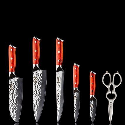 Gudaro - 5er-Set Damast-Küchenmesser MIYABI + Messerblock und Geflügelschere