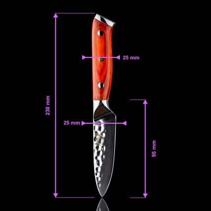 Gudaro - 5er-Set Damast-Küchenmesser MIYABI + Messerblock und Geflügelschere