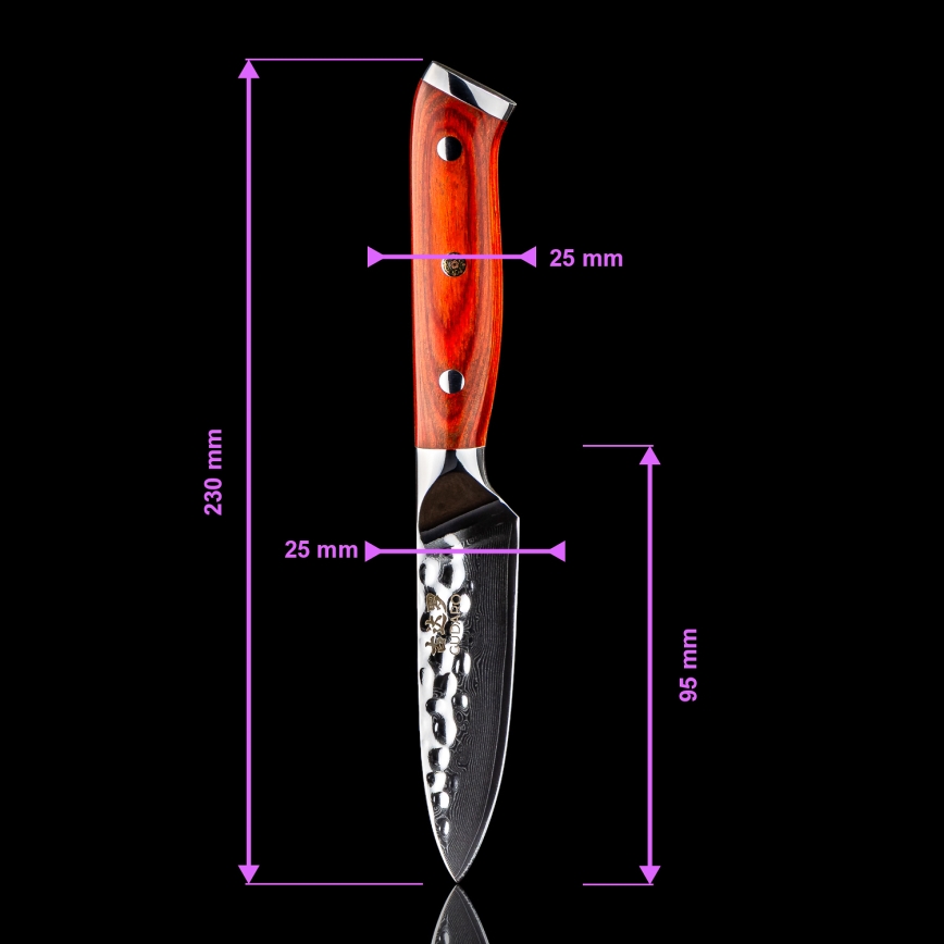 Gudaro - 5er-Set Damast-Küchenmesser MIYABI + Messerblock und Geflügelschere