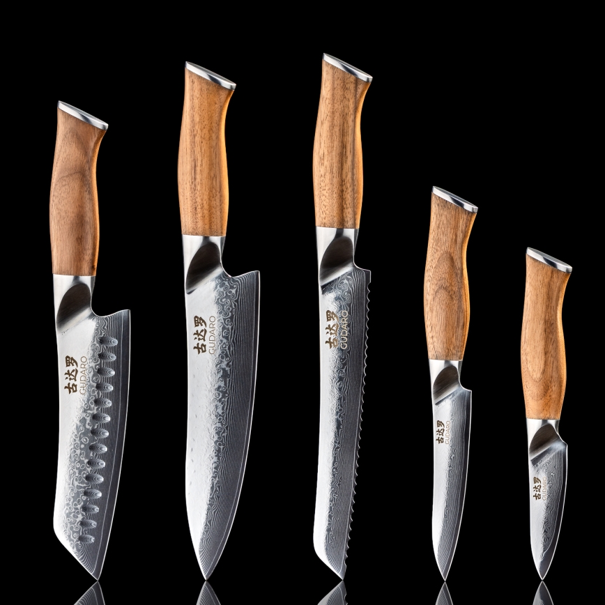 Gudaro - SET 5x Damast-Küchenmesser TAKUMI + magnetische Messerleiste