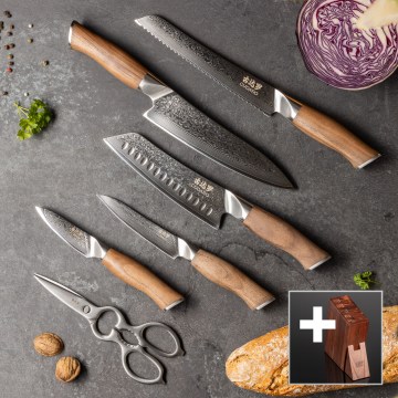 Gudaro - TAKUMI Damast-Küchenmesserset, 5-teilig + Messerhalter und Geflügelschere