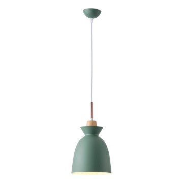 Hängeleuchte 1xE27/15W/230V grün