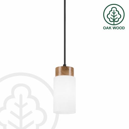 Hängeleuchte an Kabel MARKUS 1xE27/15W/230V schwarz