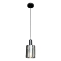 Hängeleuchte ARCADIA 1xE27/60W/230V d 13 cm schwarz/rauchig