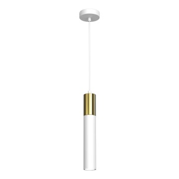Hängeleuchte CASSA 1xGU10/8W/230V weiß/gold