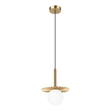 Hängeleuchte CHITA an Kabel 1xG9/5W/230V gold