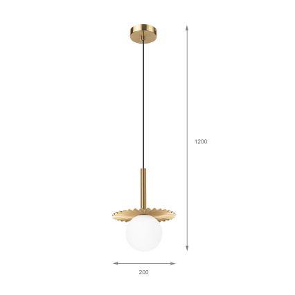Hängeleuchte CHITA an Kabel 1xG9/5W/230V gold