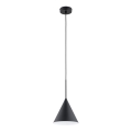 Hängeleuchte FABO 1xE27/15W/230V schwarz