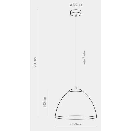 Hängeleuchte FARO 1xE27/60W/230V schwarz