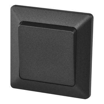 Hausschalter Einschalten 250V/10A anthrazit