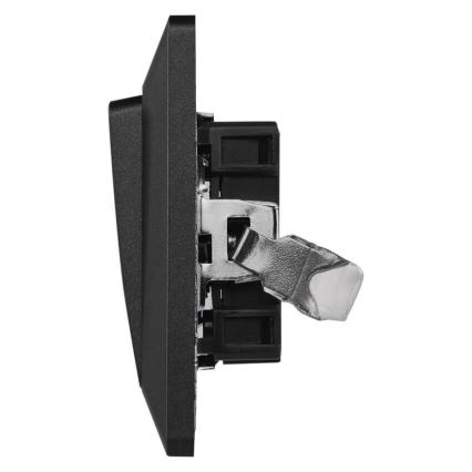 Hausschalter Einschalten 250V/10A anthrazit