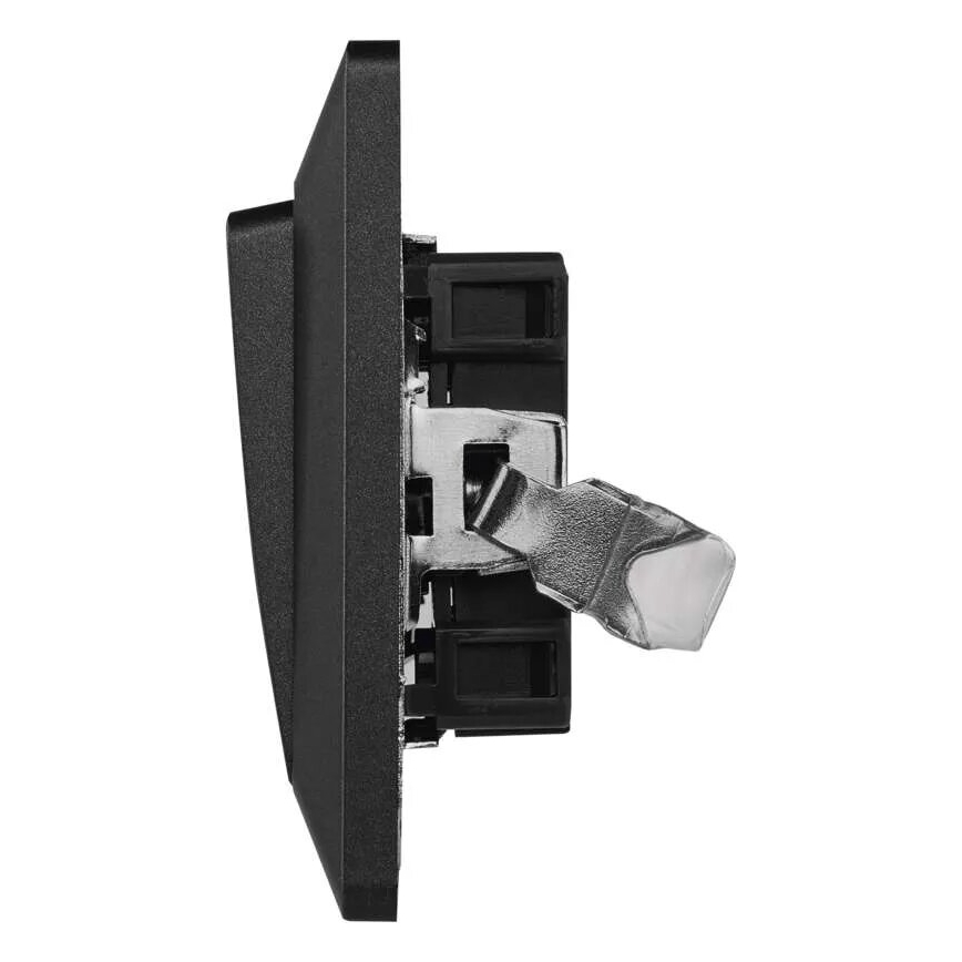 Hausschalter Einschalten 250V/10A anthrazit