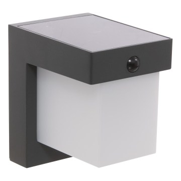Hesperide - LED-Solar-Wandleuchte mit Bewegungsmelder MULTY LED / 3,7 V, 2600 mAh, IP65, Anthrazit